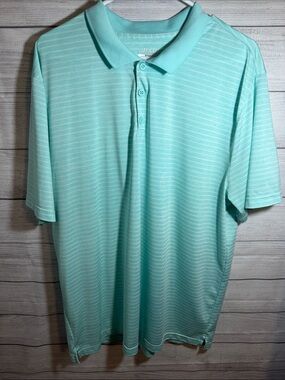 bcg Men's Mint Striped Polo Shirt